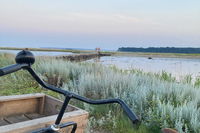 I Asger Jorns fodspor på Hjarnø