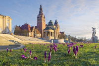 Busrejse til Stettin i Polen