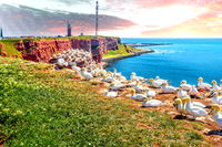 Ophold og tur til Helgoland