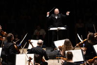 Svanesøen & Tornerose