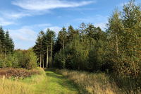 Foredrag med Jørgen Skouboe 