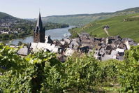 Busrejse til Mosel