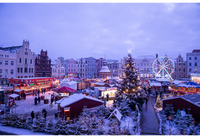 Hotel Wyndham Garden